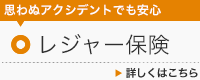 レジャー保険