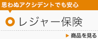 レジャー保険